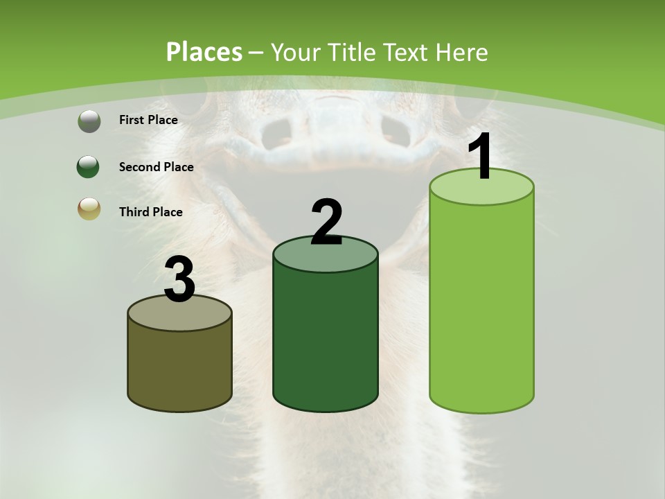 Beak Emu Tall PowerPoint Template