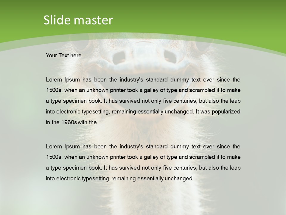 Beak Emu Tall PowerPoint Template