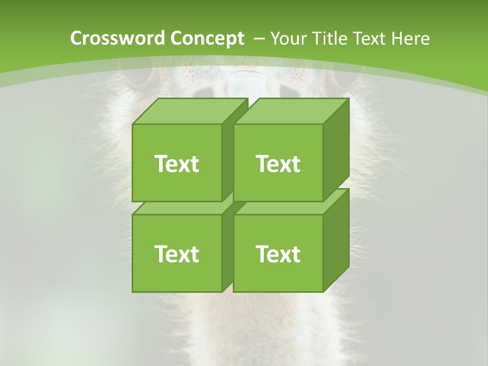 Beak Emu Tall PowerPoint Template