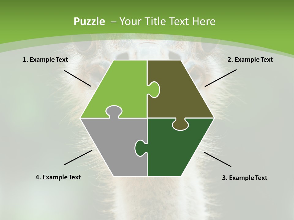 Beak Emu Tall PowerPoint Template