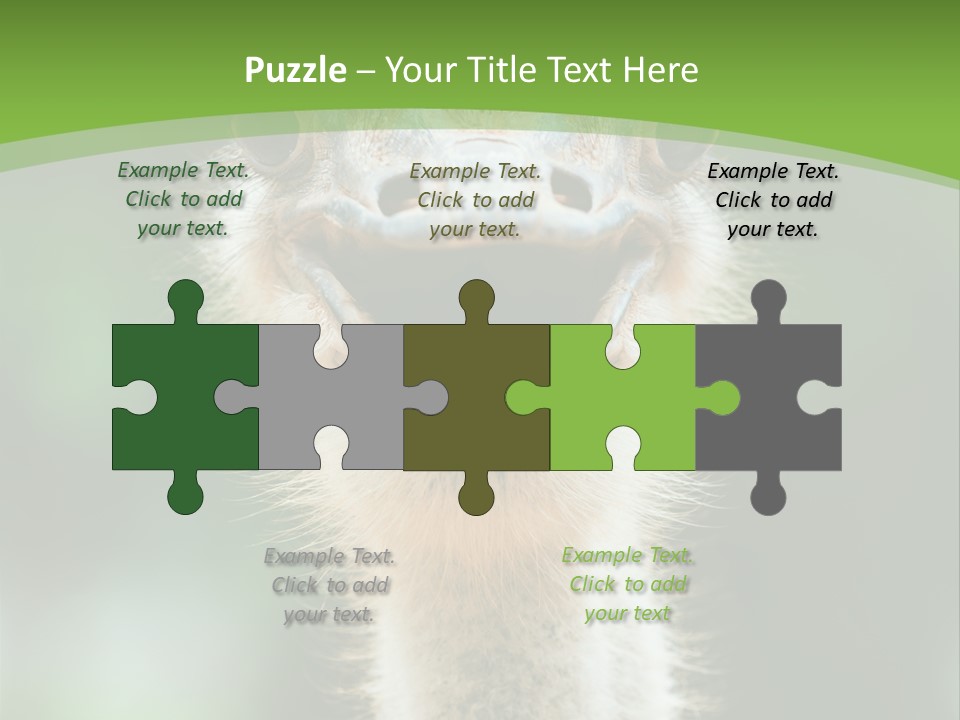 Beak Emu Tall PowerPoint Template