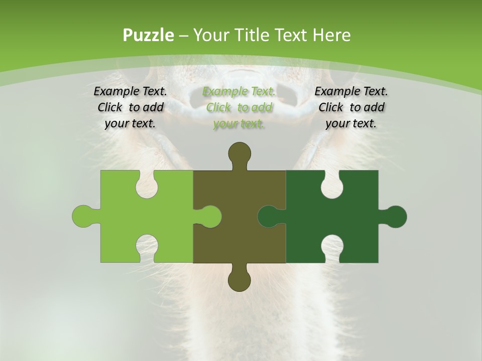 Beak Emu Tall PowerPoint Template