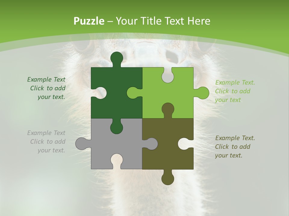 Beak Emu Tall PowerPoint Template