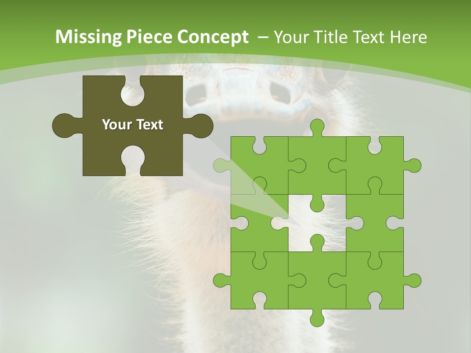 Beak Emu Tall PowerPoint Template