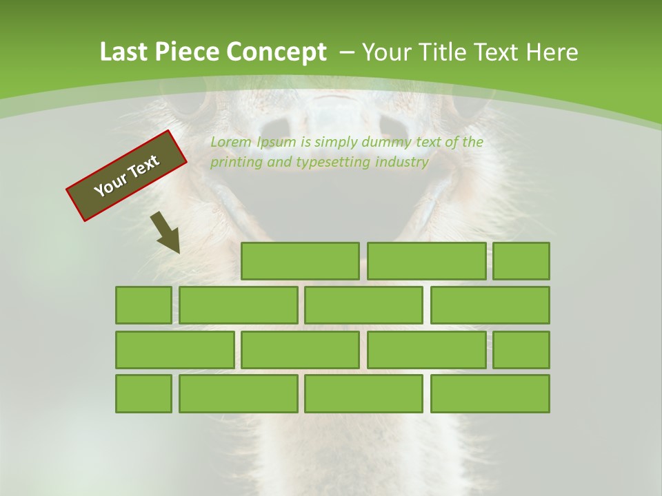 Beak Emu Tall PowerPoint Template