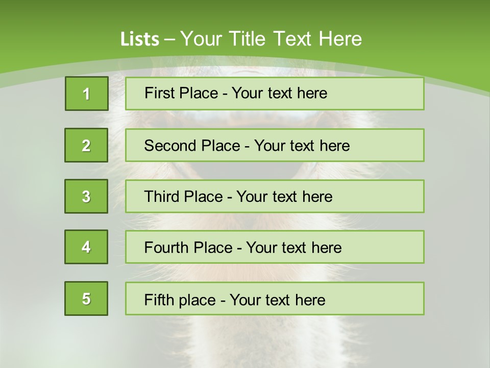 Beak Emu Tall PowerPoint Template