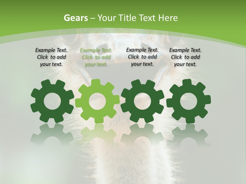 Beak Emu Tall PowerPoint Template