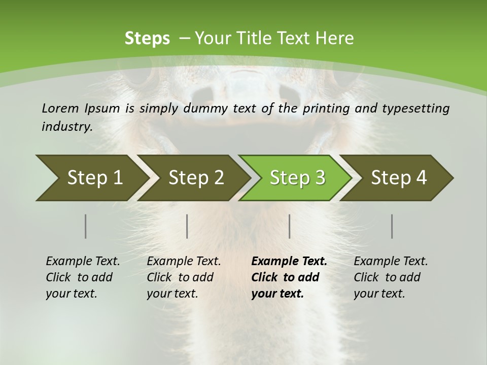 Beak Emu Tall PowerPoint Template