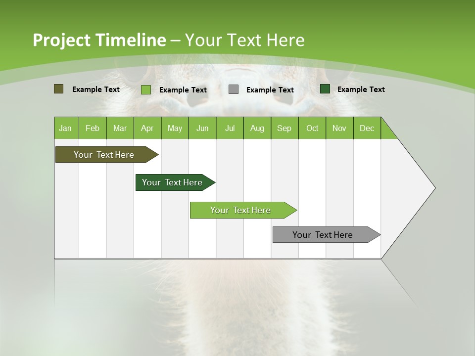 Beak Emu Tall PowerPoint Template
