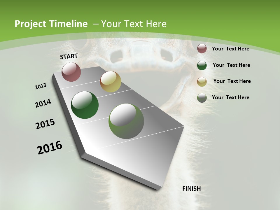 Beak Emu Tall PowerPoint Template