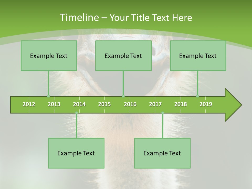 Beak Emu Tall PowerPoint Template