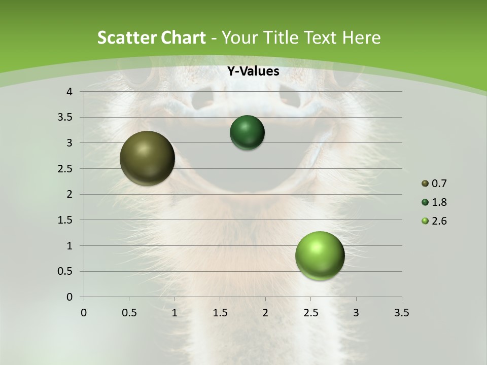 Beak Emu Tall PowerPoint Template