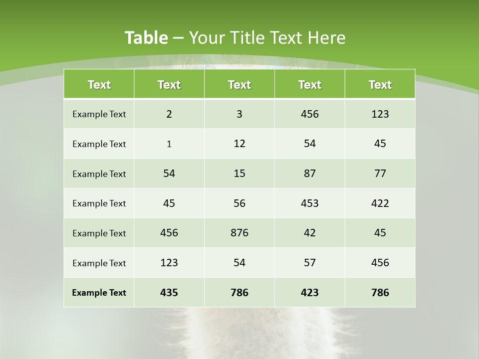Beak Emu Tall PowerPoint Template