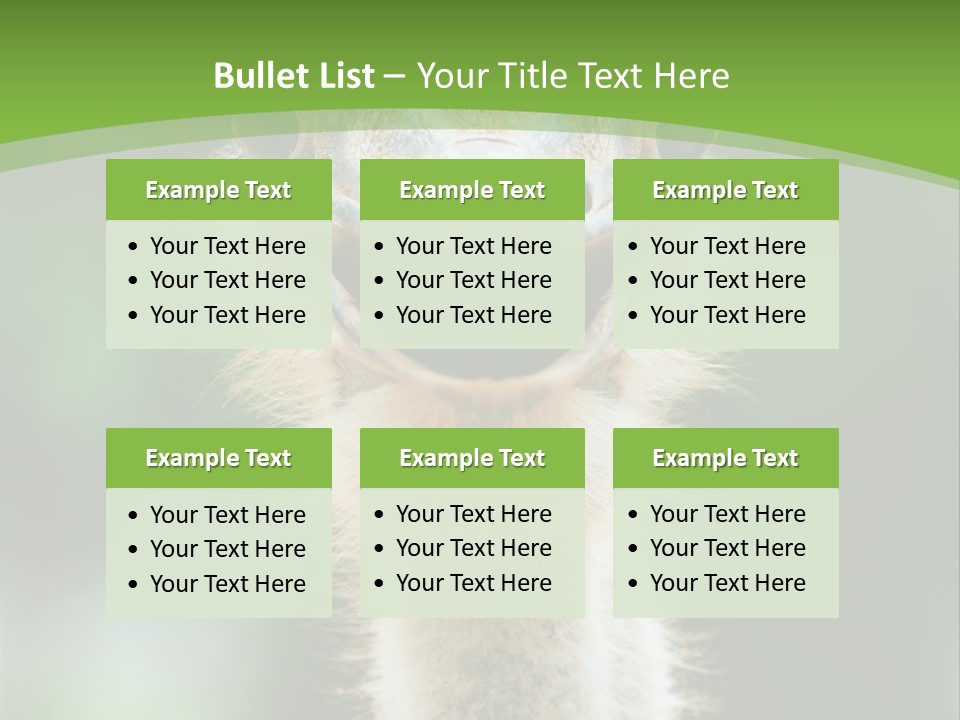 Beak Emu Tall PowerPoint Template