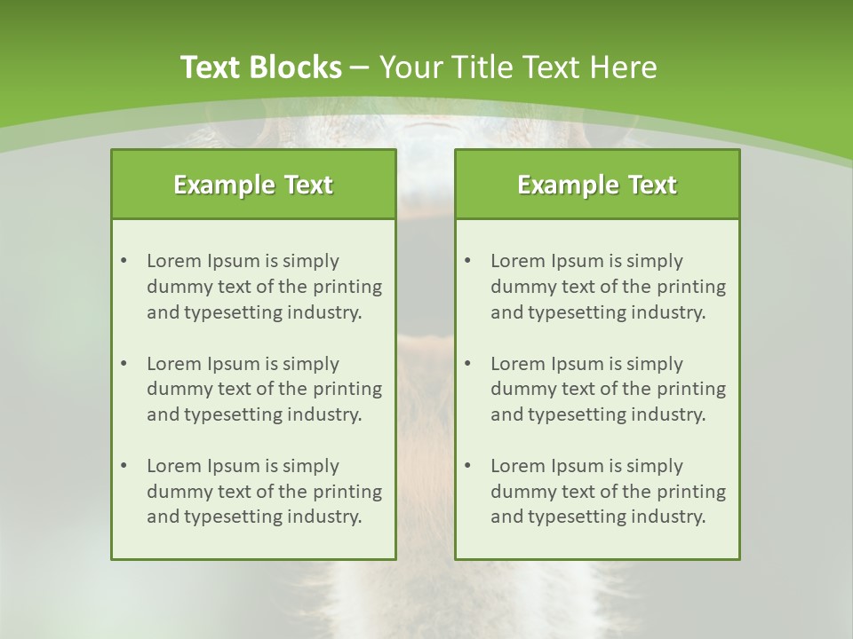 Beak Emu Tall PowerPoint Template