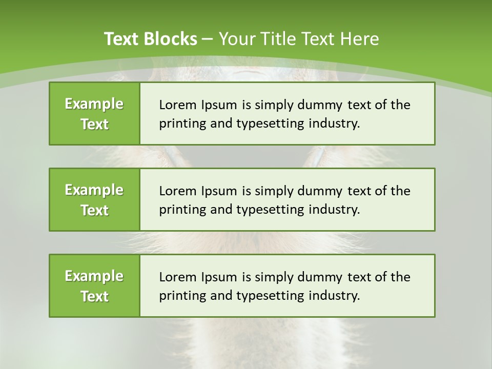 Beak Emu Tall PowerPoint Template