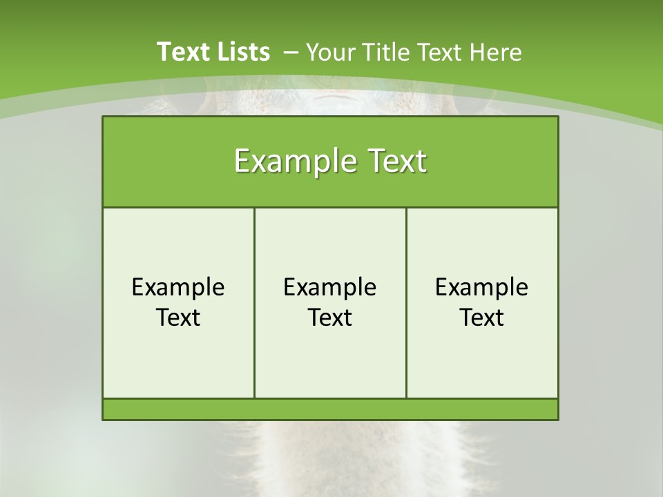 Beak Emu Tall PowerPoint Template