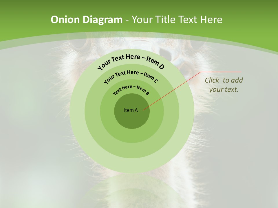 Beak Emu Tall PowerPoint Template