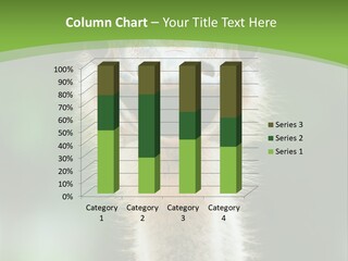 Beak Emu Tall PowerPoint Template