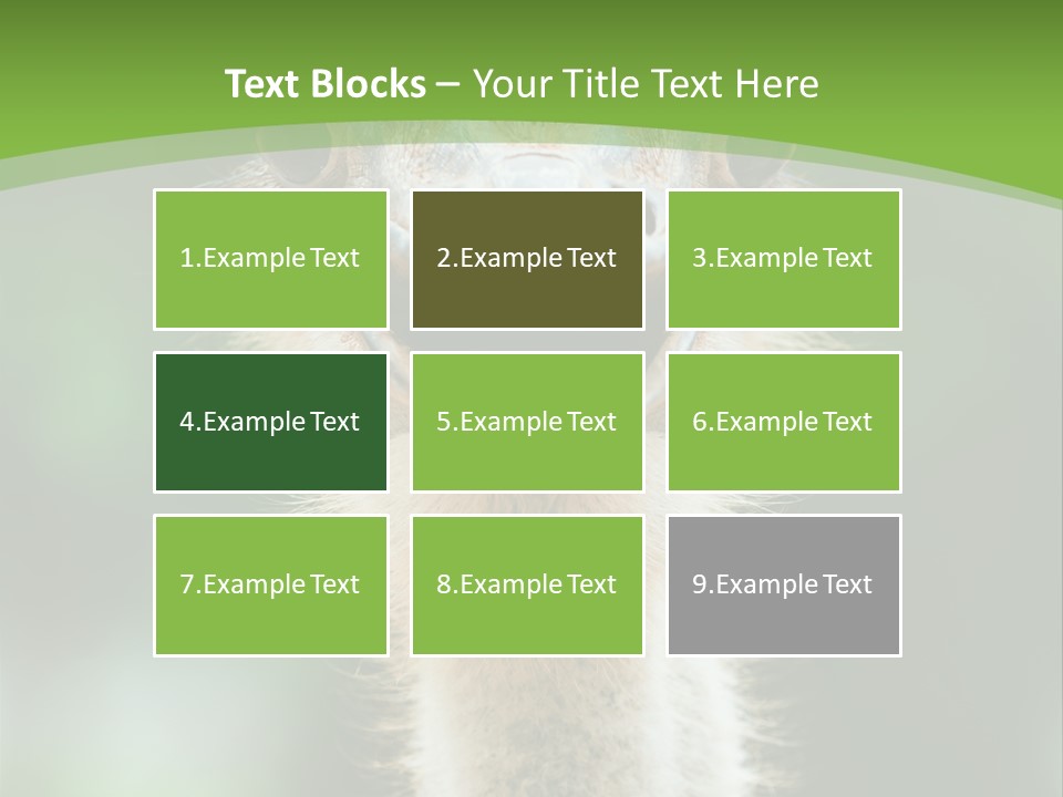 Beak Emu Tall PowerPoint Template