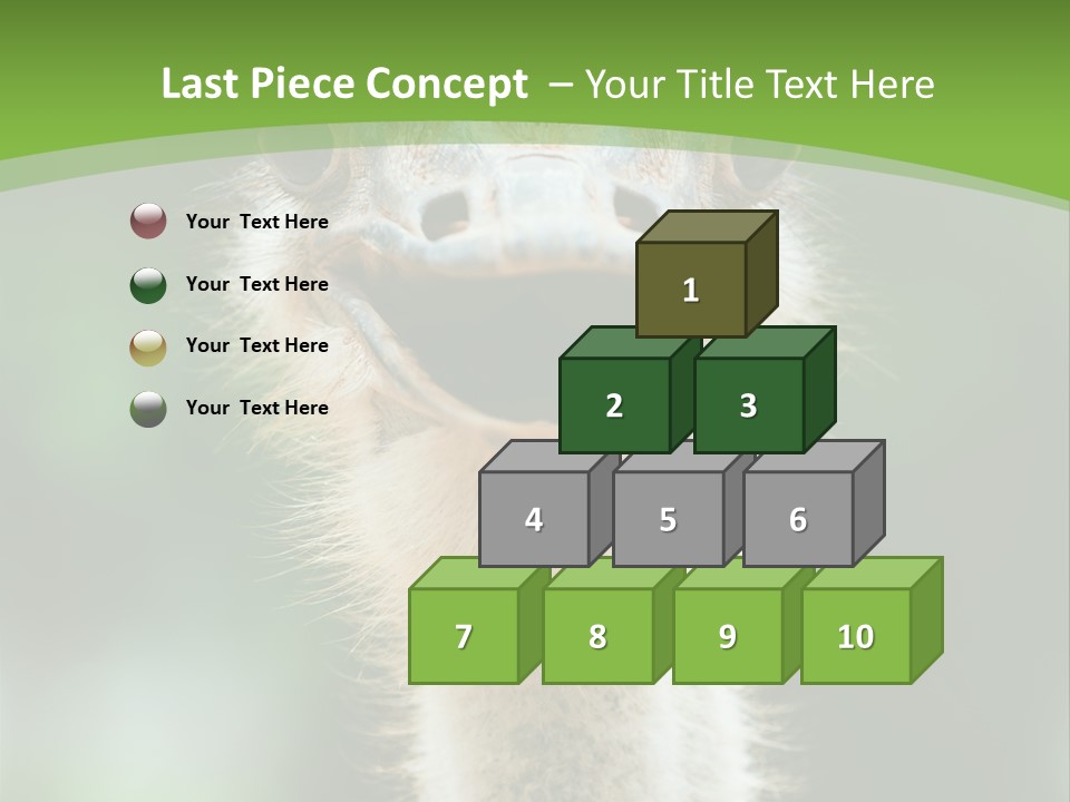 Beak Emu Tall PowerPoint Template