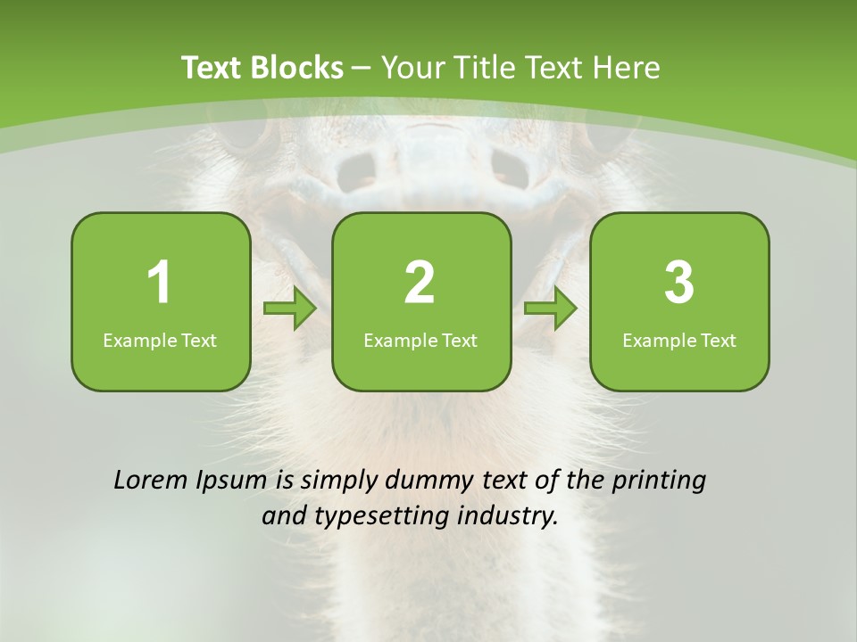 Beak Emu Tall PowerPoint Template