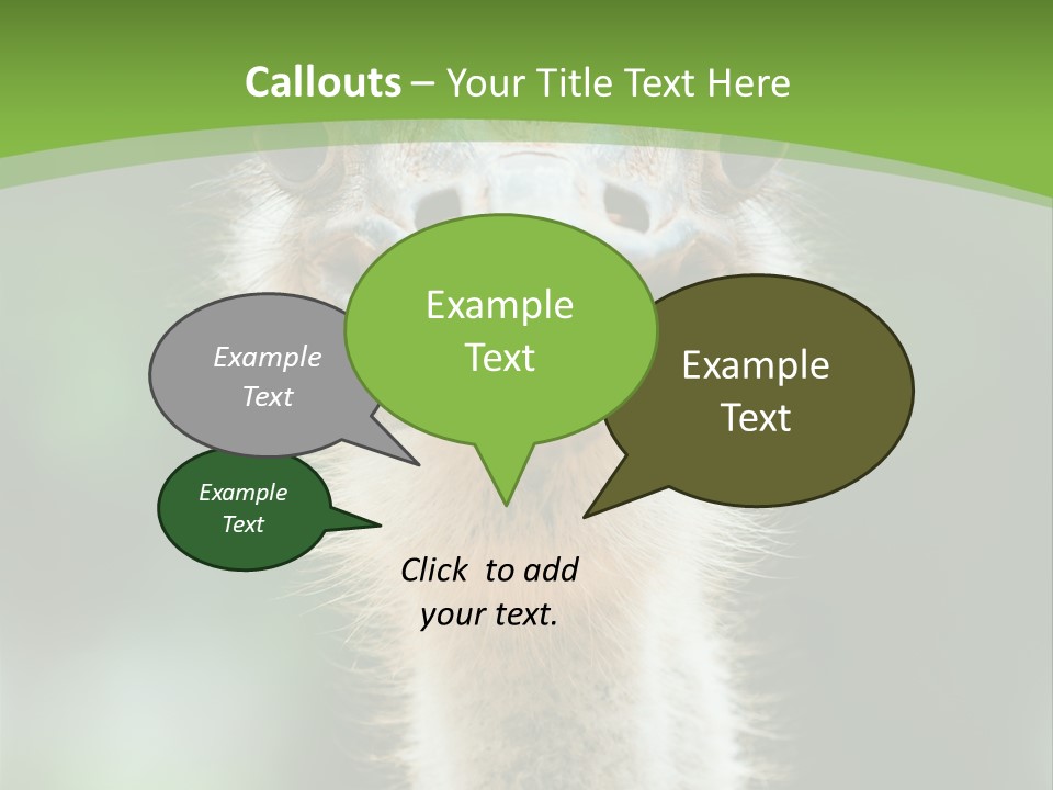 Beak Emu Tall PowerPoint Template