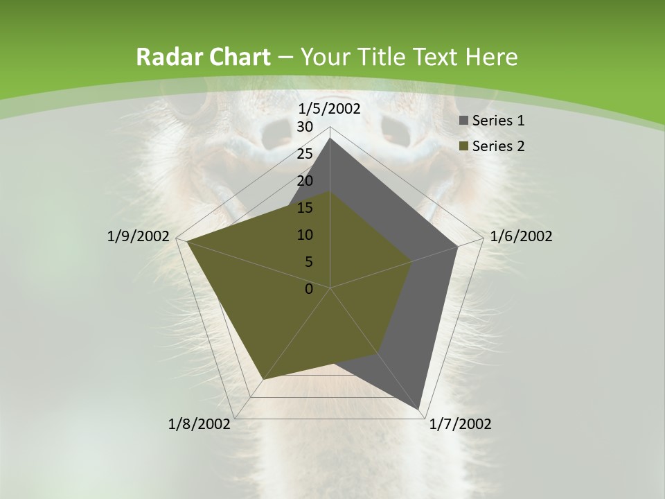 Beak Emu Tall PowerPoint Template