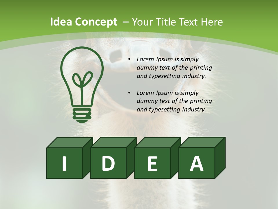 Beak Emu Tall PowerPoint Template