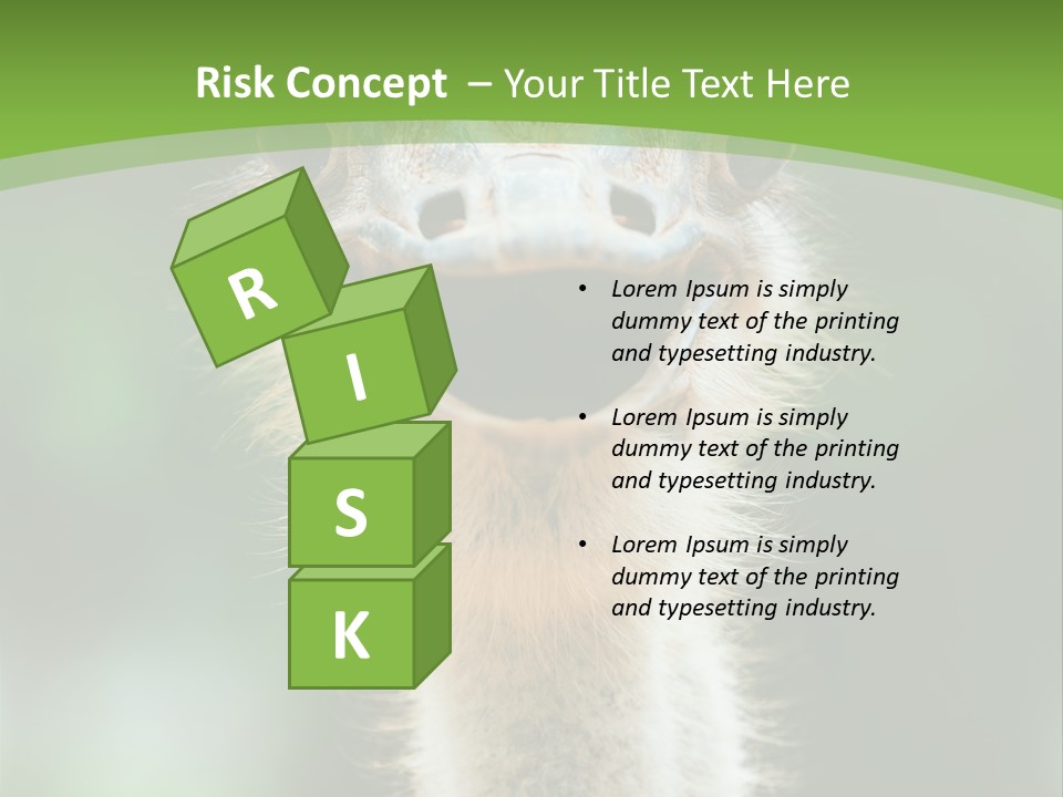 Beak Emu Tall PowerPoint Template