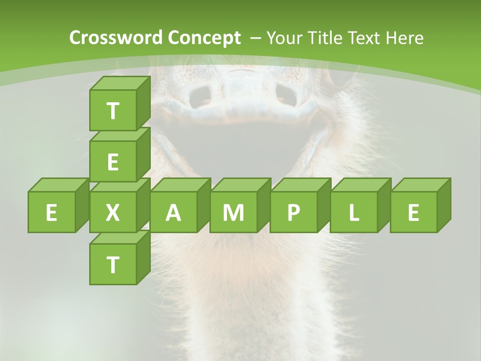 Beak Emu Tall PowerPoint Template