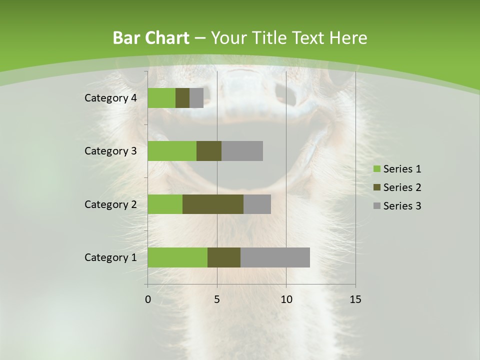 Beak Emu Tall PowerPoint Template