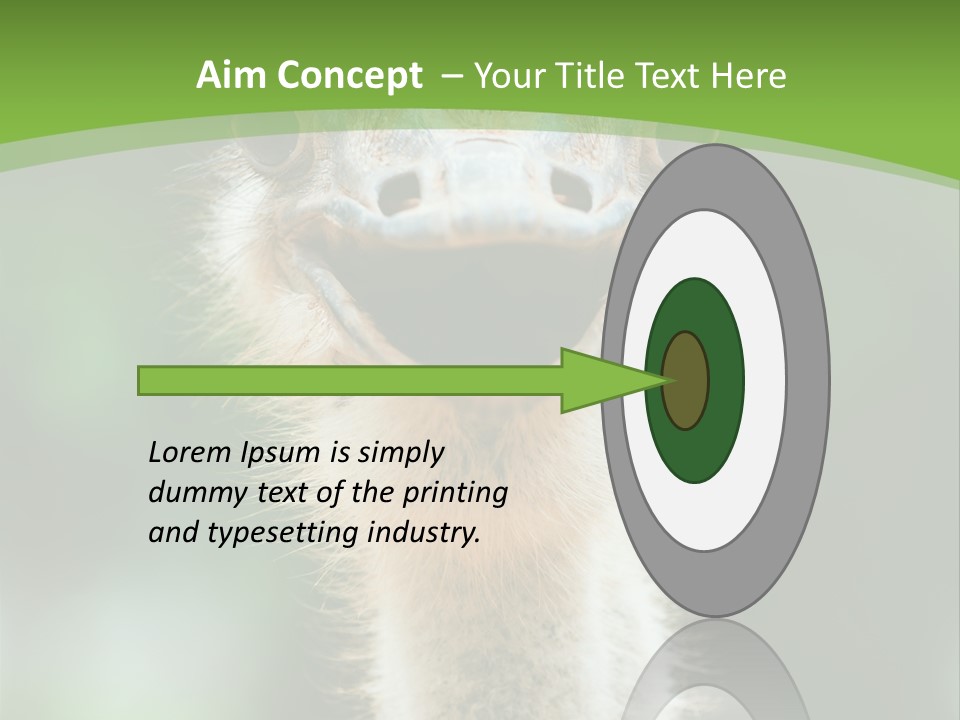 Beak Emu Tall PowerPoint Template
