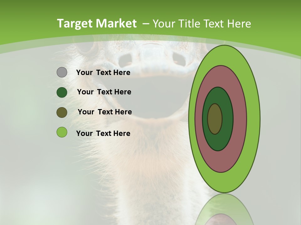 Beak Emu Tall PowerPoint Template