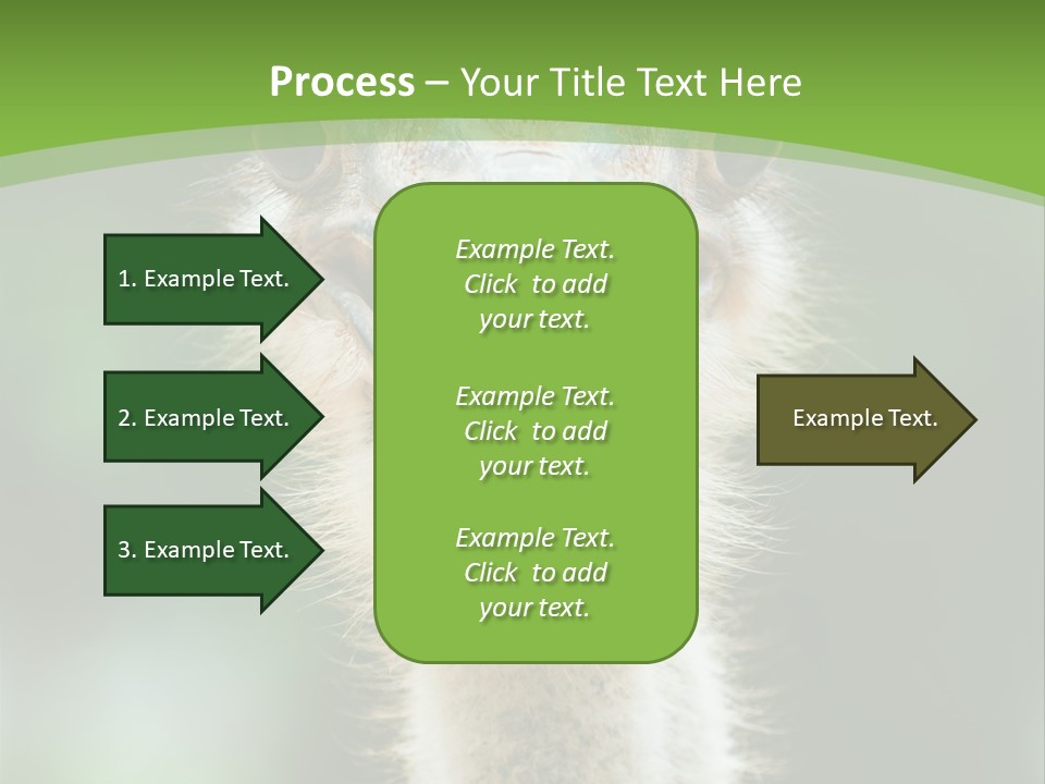 Beak Emu Tall PowerPoint Template