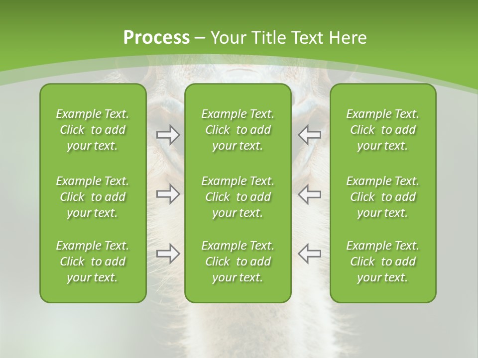 Beak Emu Tall PowerPoint Template