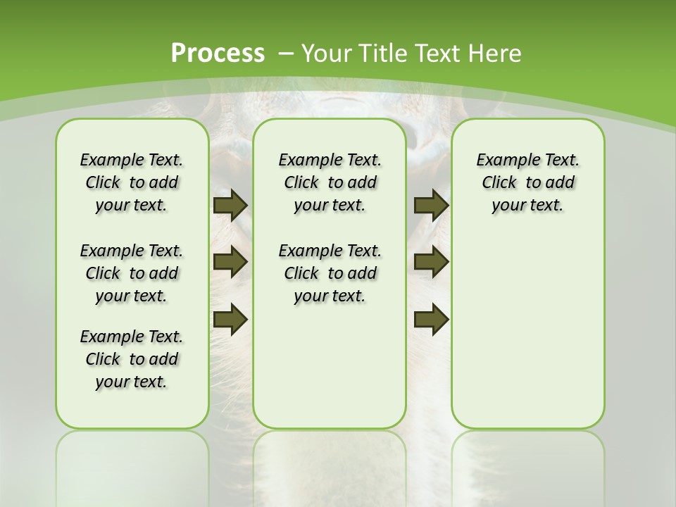 Beak Emu Tall PowerPoint Template