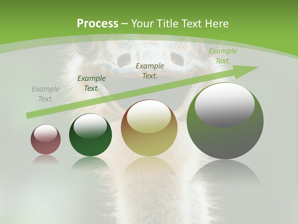 Beak Emu Tall PowerPoint Template