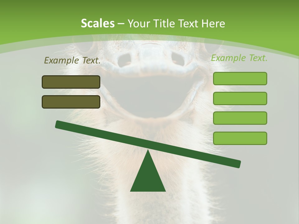 Beak Emu Tall PowerPoint Template