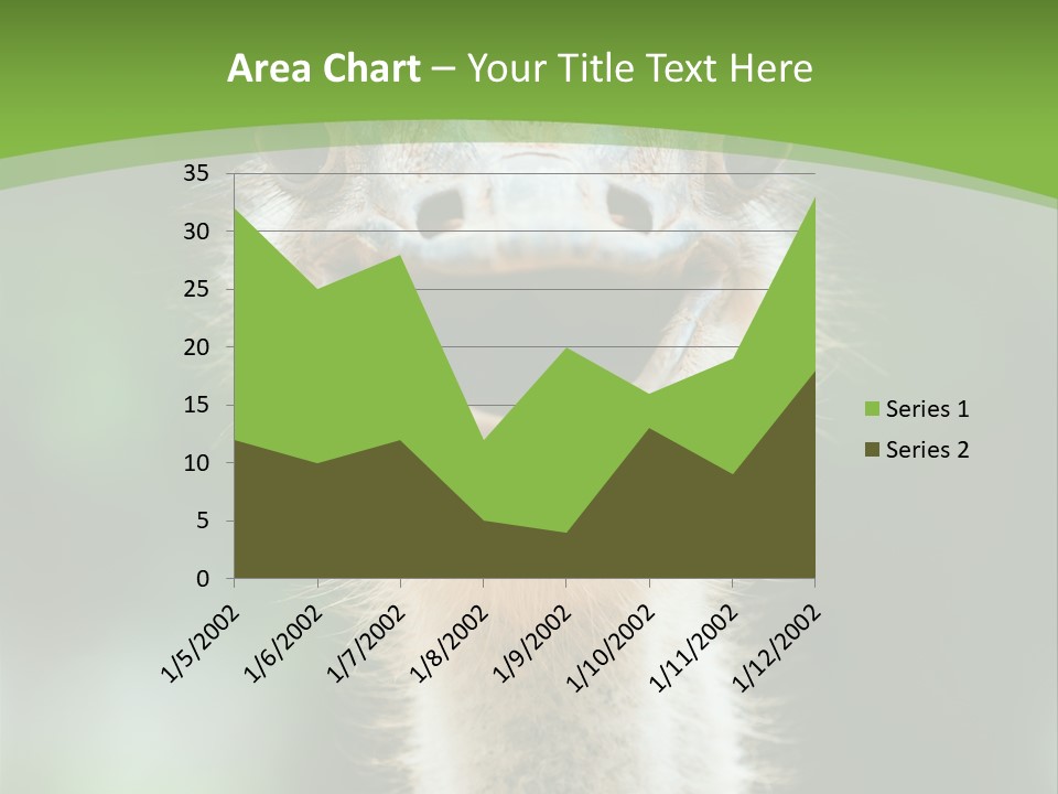 Beak Emu Tall PowerPoint Template