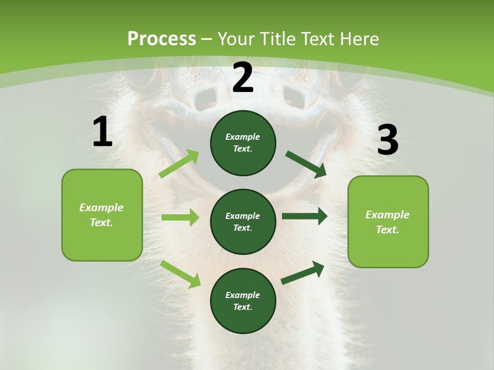 Beak Emu Tall PowerPoint Template