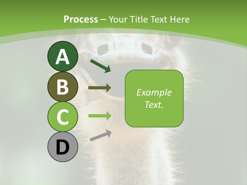 Beak Emu Tall PowerPoint Template