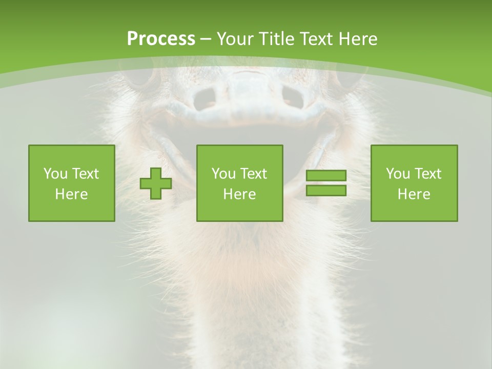 Beak Emu Tall PowerPoint Template