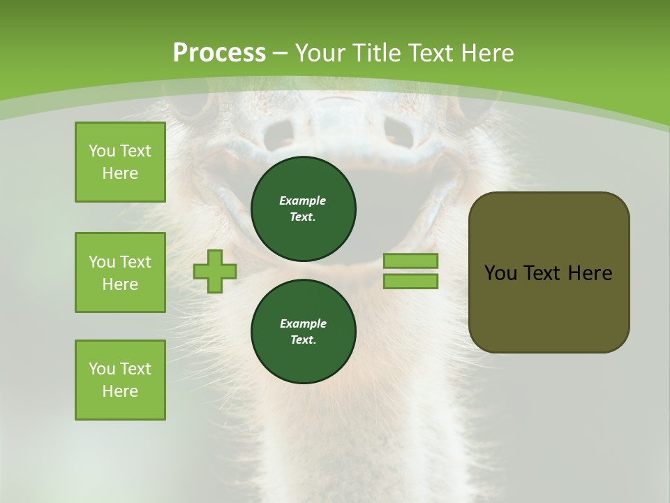 Beak Emu Tall PowerPoint Template