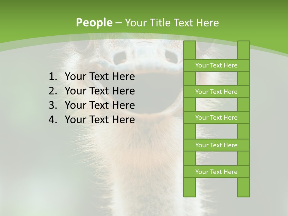 Beak Emu Tall PowerPoint Template