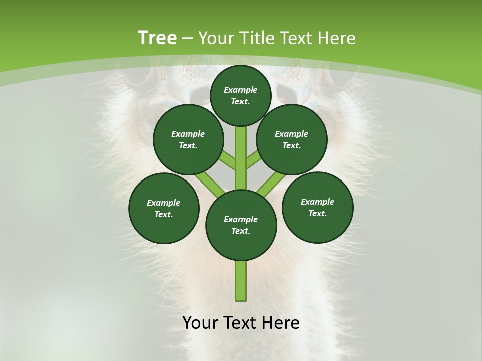 Beak Emu Tall PowerPoint Template