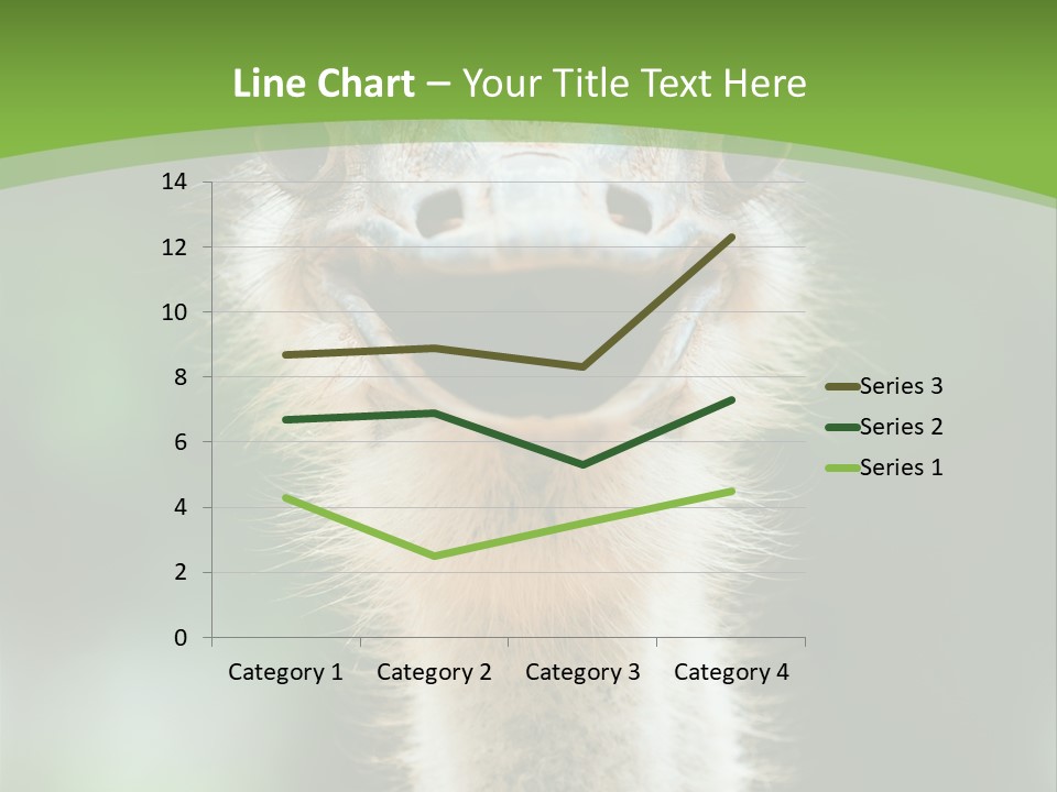 Beak Emu Tall PowerPoint Template
