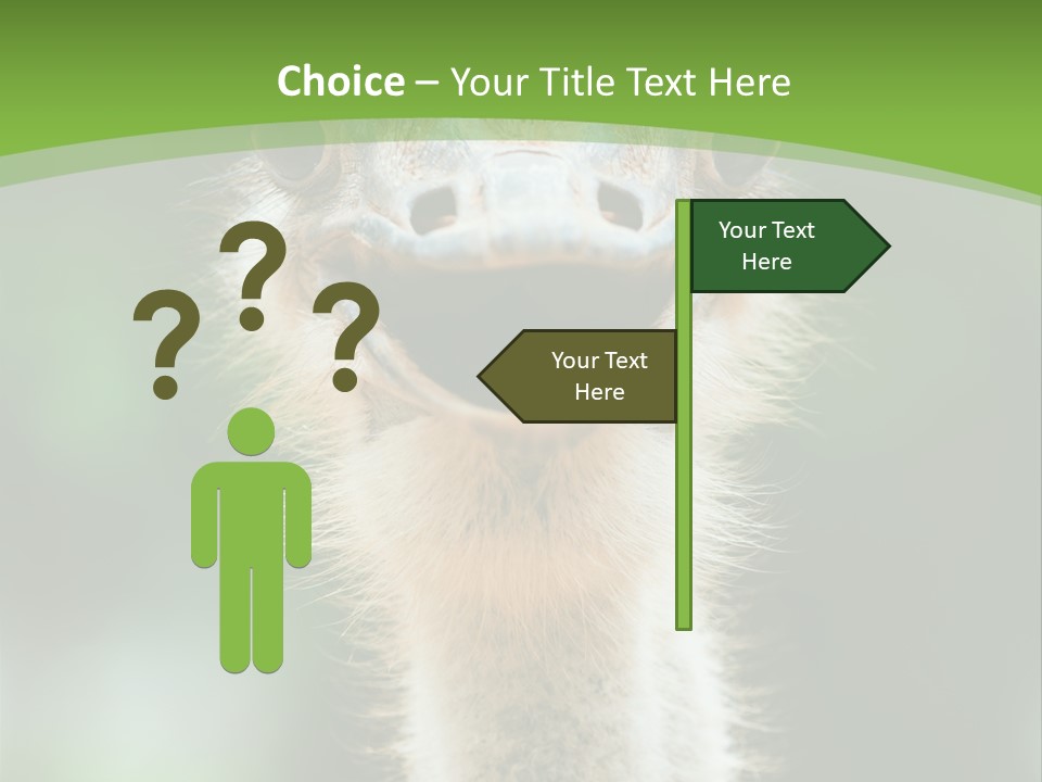 Beak Emu Tall PowerPoint Template