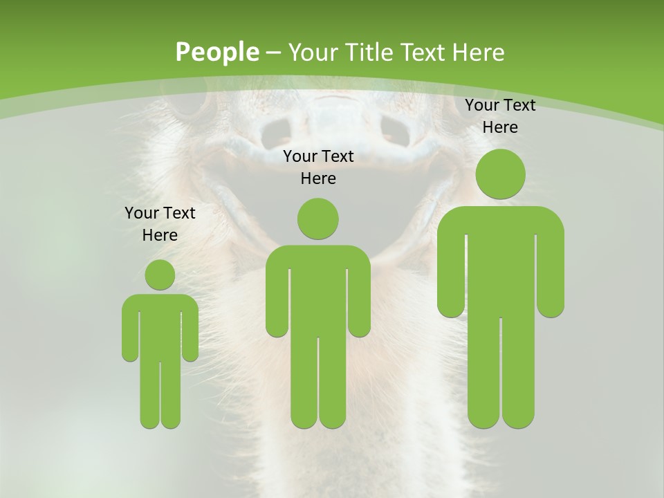 Beak Emu Tall PowerPoint Template