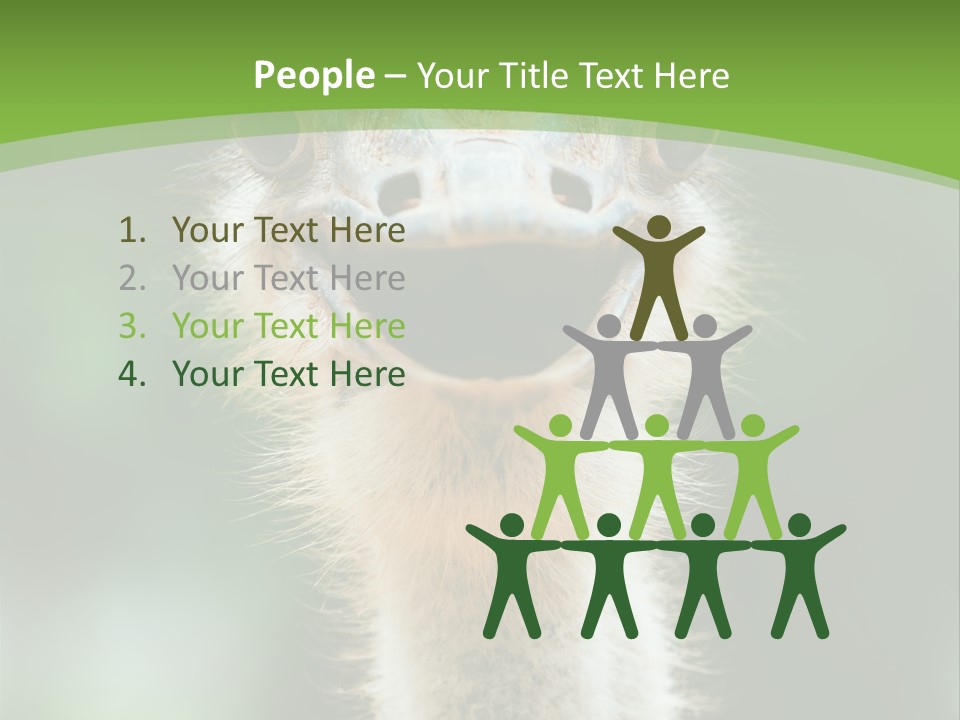 Beak Emu Tall PowerPoint Template